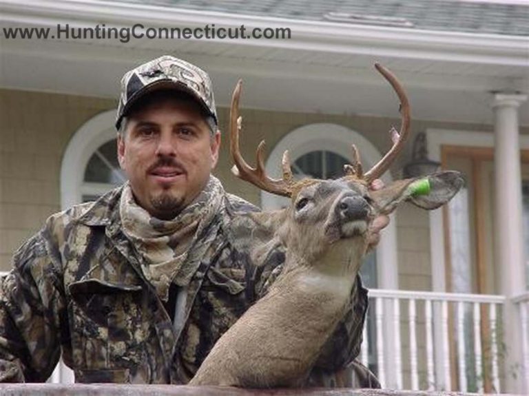 Deer Drop Off Instructions Hunting Connecticut